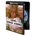 Liane: Jungle Goddess - 1956 - 4K UHD - 4K UHD Disc - High Definition - Compatible with 4k UltraHD Bluray