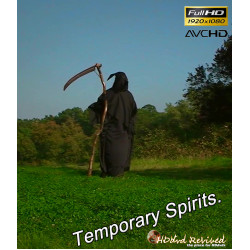 Temporary Spirits (2011) - AVCHD Movie - 1080p - (08/2019)